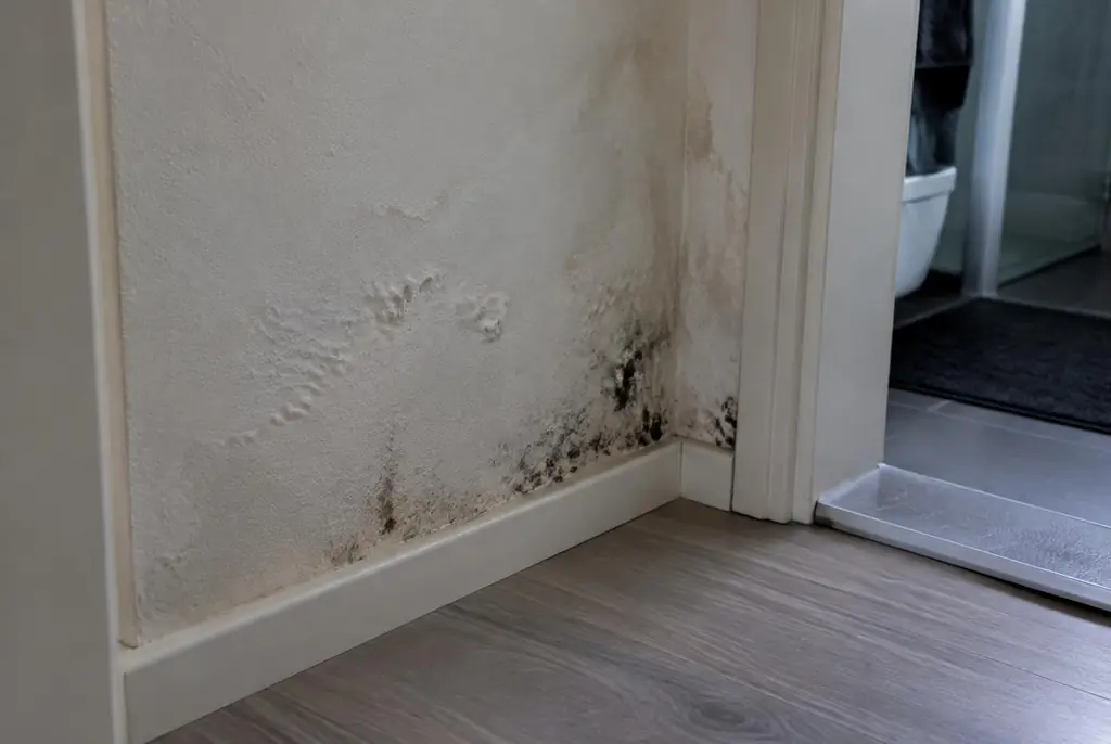 Lekdetectie Volendam – vochtplek met schimmel op een muur